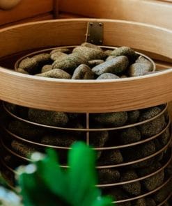 Alternative view of Huum Hive medinis aptvaras